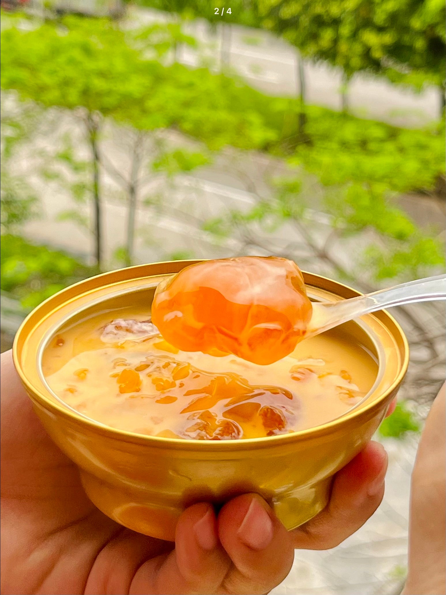 杨枝甘露桃胶羹